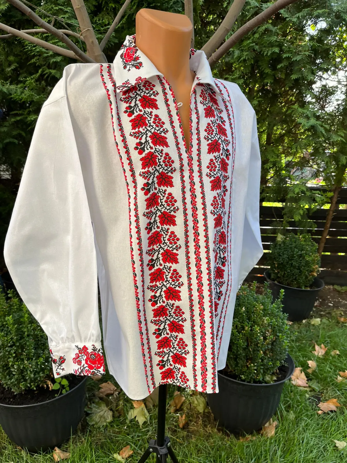 Ie traditionala Cezar