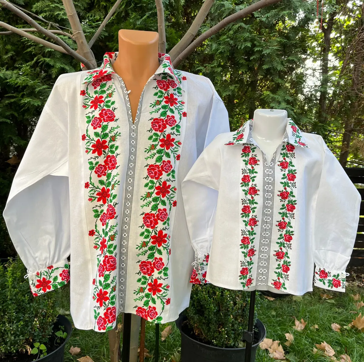 Set ii traditionale Ion